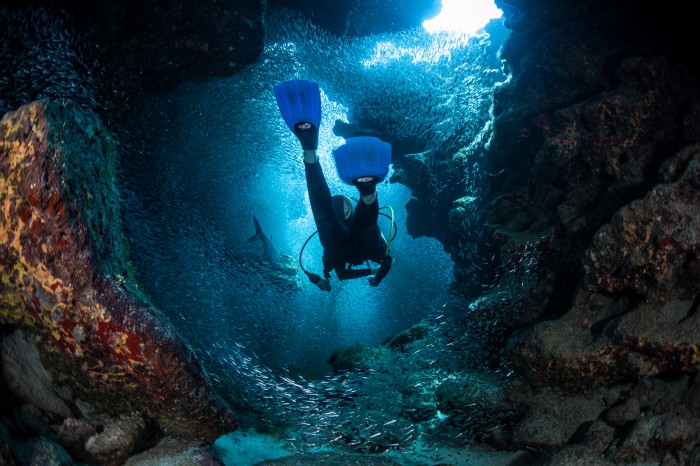 Come discover the waters of the Similan Islands